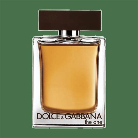 dolce gabbana the one vs dior homme|d&g the one vs dior.